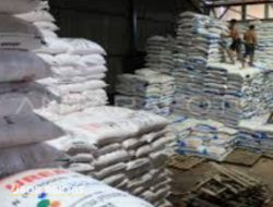 Kades Bukor Bondowoso Merasa Bangga, Dengan Tambahan 100 % Pupuk Subsidi Dari Kementan