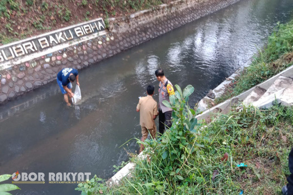 Bondowoso, Obor Rakyat - Pelaksanaan pelepasan 10.000 ( sepuluh ribu ) benih ikan oleh Kapolsek Tegalampel Polres Bondowoso bersama perangkat Desa dalam rangka "Ketersediaan Pangan Bergizi" di Desa Klabang Agung.