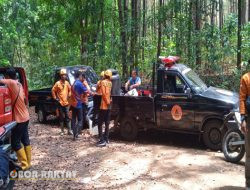 Laksanakan Instruksi Adm Perhutani KPH Bondowoso, Zainul Lutfi Gelar Patroli Gabungan 