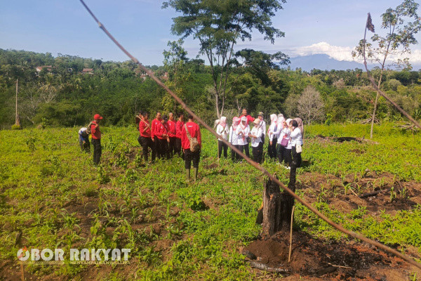 Bondowoso, Obor Rakyat - Musim hujan tahun 2024 yang sudah merata di seluruh wilayah kabupaten Bondowoso dijadikan momentum tersendiri oleh jajaran Perum Perhutani BKPH Sumber Wringin, KPH Bondowoso, untuk melaksanakan program penanaman awal tahun 2025 dengan melibatkan warga, tokoh masyarakat, lembaga masyarakat desa hutan (LMDH) dan ikatan istri karyawan (IIK), Sabtu (7/12/2024).