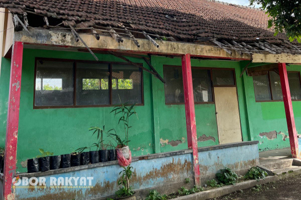 Bondowoso, Obor Rakyat - Bangunan Sekolah Dasar (SD) Negeri 1 Jurang Sapi, Kecamatan Tapen, Kabupaten Bondowoso rusak parah. Kerusakan ini sudah berlangsung bertahun-tahun dan belum kunjung diperbaiki.