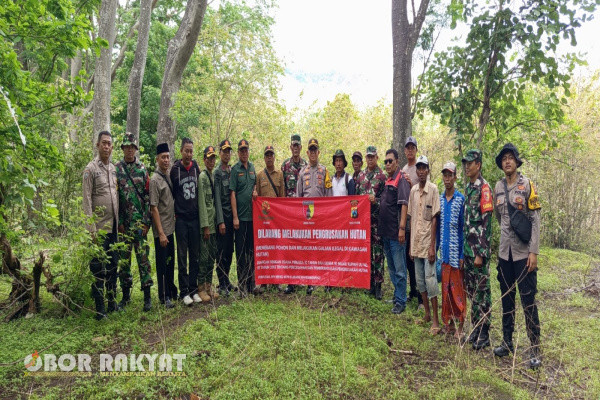 Bondowoso, Obor Rakyat - Cegah tangkal dan tanggap darurat bencana untuk melindungi keselamatan masyarakat, khususnya yang berdomisili disekitar kawasan, terus gencar di laksanakan oleh para rimbawan Perum Perhutani Kesatuan Pemangkuan Hutan (KPH) Bondowoso menyusul adanya hujan deras disertai angin cukup kencang yang terjadi dalam beberapa hari terakhir.