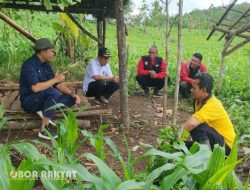 Misbakhul Munir Bersama Anton Sujarwo Adakan Pemeriksaan Lokasi Tanaman ke BKPH Sumber Wringin