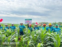 Gelar Groudbreaking Tanaman, Perhutani Jatim Mengawali Reboisasi Tahun 2024