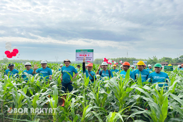 Mojokerto, Obor Rakyat - Setelah melaksanakan tabur benih serentak, sebagai tindak lanjut dalam program Sedekah Oksigen, Wawan Triwibowo Kepala Perhutani Divisi Regional Jawa Timur menggelar acara groundbreaking tanaman tahun 2024 yang dihadiri oleh segenap Administratur wilayah Divre Jawa Timur, Selasa (17/12/2024).