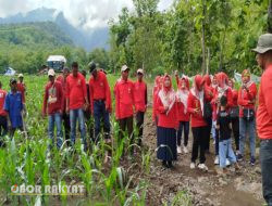 Peduli Lingkungan dan Sedekah Oksigen, IIK Perhutani Ranting BKPH Penarukan Gelar Tanam Pohon Bersama 