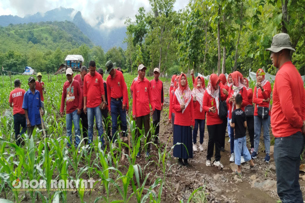 Bondowoso, Obor Rakyat - Gerakan reboisasi, dan penanaman pohon seolah tidak pernah berhenti untuk terus dilakukan oleh para laskar rimbawan serta rimbawani dibawah naungan Perhutani KPH Bondowoso.