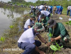 Puslatpurmar -5 Baluran, Ikuti Penanaman 1000 Pohon Mangrove di Pantai Cemara Banyuwangi