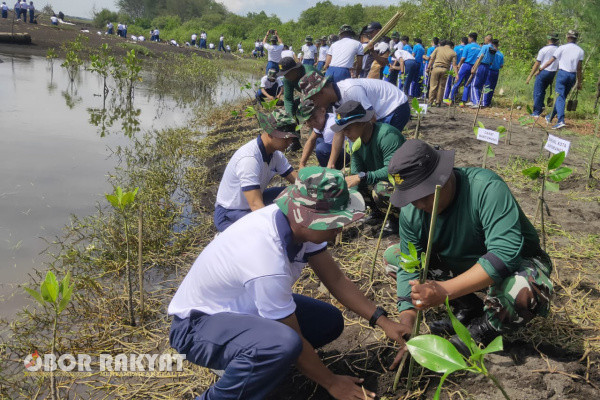 Banyuwangi, Obor Rakyat - Prajurit Pusat Latihan Pertempuran Marinir (Puslatpurmar) -5 Baluran, turut serta bergabung dalam pelaksanaan penanaman pohon mangrove yang dipimpin oleh Dirlat Wira Jala Yudha XXIII/2025 Laksma TNI, Muhammad Iwan Kusumah bersama Forum Kordinasi Pimpinan Daerah (Forkopimda) Banyuwangi dan pemuda pecinta alam, Senin (6/1/2025) di Pantai Cemara, Banyuwangi.