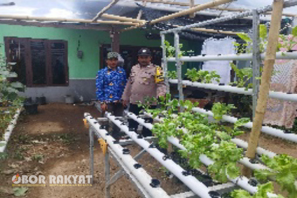 Banyuwangi, Obor Rakyat – Dalam rangka mendukung program ketahanan pangan nasional, Polresta Banyuwangi Polda Jatim melalui jajaran Polsek jajarannya aktif melakukan pendampingan dan monitoring pemanfaatan lahan pertanian serta pekarangan warga, Rabu (5/2/2025).