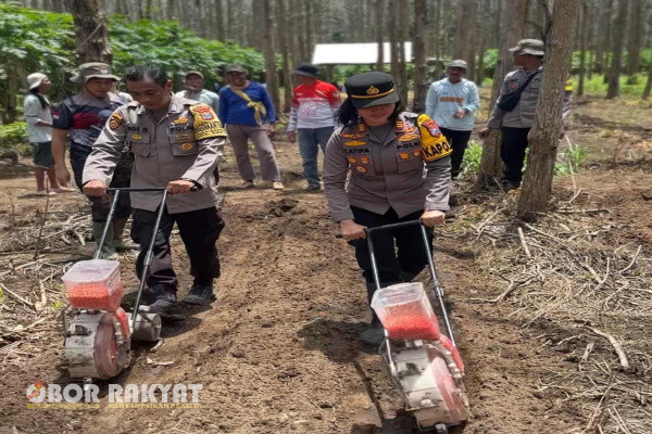 Jember, Obor Rakyat - Ketua DPD Himpunan Kerukunan Tani Indonesia (HKTI) Jawa Timur, HM Arum Sabil mengapresiasi Kapolsek Ambulu, AKP Latifa Andika yang menggelar kegiatan penanaman jagung bersama kalangan petani.
