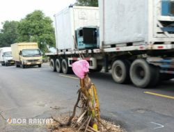 LPPAN Memberikan Himbauan Jalan Rusak di Pantura Situbondo, Agar Tetap Berhati-hati 