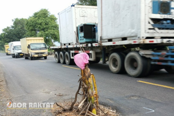 Situbondo, Obor Rakyat - Setelah diguyur hujan deras terus-menerus dalam dua pekan terakhir, jalan nasional Pantura (Pantai Utara) di Situbondo, Jawa Timur, mengalami kerusakan cukup parah.
