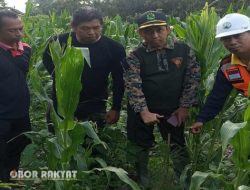 Laksanakan Instruksi Adm Perhutani KPH Bondowoso, Anton Sujarwo Lakukan Pemeriksaan Lokasi Tanaman 