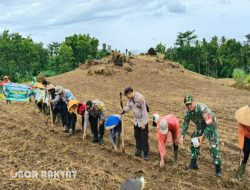 Gelorakan Swasembada Pangan, Polresta Banyuwangi Bersama Poktan Tanam Jagung Serentak 