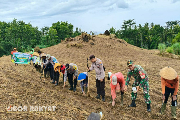 Banyuwangi, Obor Rakyat – Polresta Banyuwangi Polda Jatim kembali menunjukkan langkahnya dalam mendukung Program Food Estate (Lumbung Pangan), yang merupakan progam Asta Cita Pemerintahan Presiden Prabowo Subianto dan Wakil Presiden Gibran Rakabuming Raka.
