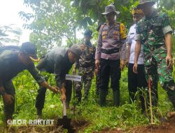 Guna Melestarikan Hutan, Perhutani Bondowoso Gandeng Forkopimcam Binakal Gelar Penanaman Pohon Bersama