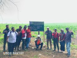 Perhutani Bondowoso Gelar Penanaman Bibit Pohon Pinus di Petak 68b RPH Tegalampel BKPH Klabang