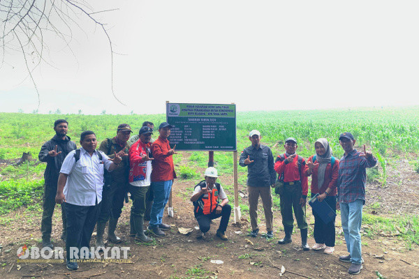 Bondowoso, Obor Rakyat - Dalam rangka menjalankan tugas pokok sebagai rimbawan yang mengedepankan konservasi dengan kelangsungan kehidupan Masyarakat di pertengahan musim penghujan, Perhutani Bondowoso melakukan penanaman rutin pada lahan-lahan kosong yang berguna untuk sosial dan profit perusahaan.