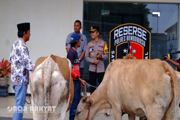 Bondowoso, Obor Rakyat - Kepala Kepolisian Resor (Kapolres) Bondowoso, AKBP Harto Agung Cahyono menyerahkan barang bukti kejahatan pencurian hewan kepada pemilik sapi yang dicuri oleh komplotan pencuri.