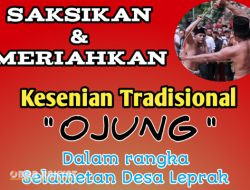 Ritual Adu Cambuk, Warnai Selamatan Desa Leprak Bondowoso