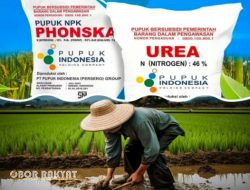 Kios Pengecer Diduga Jual Pupuk Subsidi Diatas HET, Petani di Desa Kecamatan Grujugan Bondowoso Menjerit