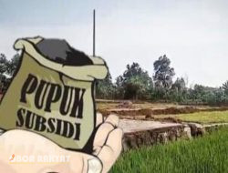 Pupuk Subsidi di Kecamatan Grujugan Bondowoso Tembus 300 Ribu, Ternyata Ini Alasannya