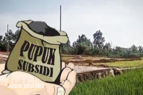 Bondowoso, Obor Rakyat - Sejumlah petani di wilayah Kecamatan Grujugan, Kabupaten Bondowoso, Jawa Timur, menjerit dengan harga pupuk subsidi.