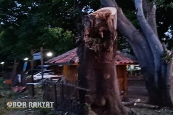 Situbondo, Obor Rakyat - Beach Forest Situbondo merupakan wisata perpaduan yang menyuguhkan pemandangan laut lepas dan alam pegunungan, dimana keberadaannya kini mulai banyak menarik minat wisatawan, baik lokal maupun mancanegara. Namun, tidak sedikit pula juga menarik perhatian dari berbagai pihak terkait sistem dan tata kelola yang berkaitan dengan alam serta lingkungan sekitar.