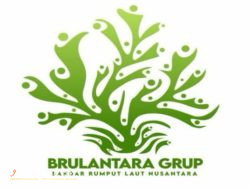 BALAD Grup Sudah Mendunia, Kini Berbudidaya Rumput Laut di 7 Teluk Wilayah Sumenep