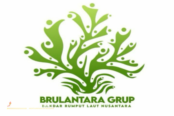 Situbondo, Obor Rakyat - Bandar Laut Dunia Grup (BALAD Grup), kini sedang memulai berbudidaya rumput laut di 7 teluk Desa Saobi, Kecamatan Kangayan, kabupaten Sumenep, Jawa Timur, lokasi yang sangat strategis.