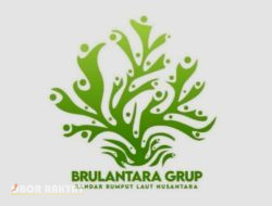 Kuasai Pasar Global Hingga Mendunia Bersama Rumput Laut