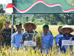 Kabupaten Bondowoso Panen Raya Padi Bareng Serentak di 14 Provinsi