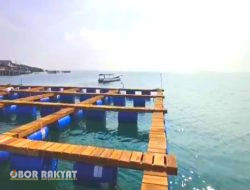 BALAD Grup, Memindahkan Keramba Ke- 4 di Lokasi Teluk Ke- 4