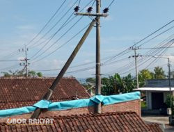 Lahan Warga Dipakai Tiang Listrik, LBH Abunawas: Ya, PLN Wajib Memberikan Kompensasi