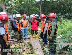 Wakil Adm Perhutani KSKPH Bondowoso Utara, Gelar Cutting Test Tebangan Jati Tahun 2025
