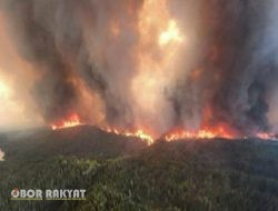 Kanada Umumkan Status Darurat, Karena Kebakaran Hutan