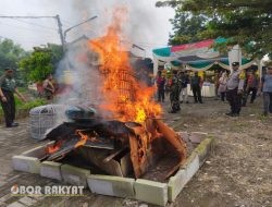 Pasca Obrakkan, Barang Bukti Judi Sabung Ayam Turut di Musnakan Polsek Lakarsantri