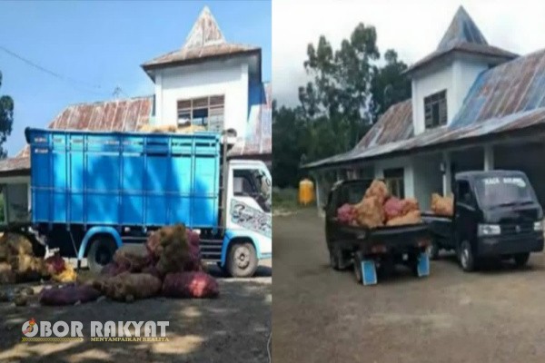 Labuan Bajo NTT, Obor Rakyat - Beberapa warga sekitar mulai mempertanyakan, dengan dua fungsi dari terminal di Nggorang Manggarai Barat, Labuan Bajo, Nusa Tenggara Timur (NTT). Pasalnya, terminal angkot yang pada umumnya untuk pemberhentian sementara transportasi itu, dijadikan tempat transit Porang.
