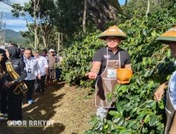 Perkuat Ekonomi Desa Sesuai Asta Cita, Wamen BUMN Tinjau Program Kemitraan Kopi Perhutani di Bondowoso