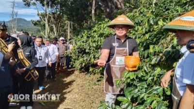 Perkuat Ekonomi Desa Sesuai Asta Cita, Wamen BUMN Tinjau Program Kemitraan Kopi Perhutani di Bondowoso