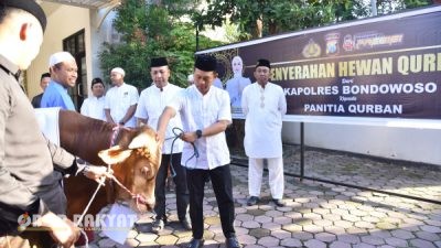 Kapolres Bondowoso Serahkan Hewan Qurban, Wujud Kepedulian di Hari Raya Idul Adha 2025