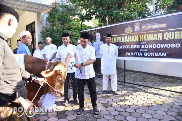 Bondowoso, Obor Rakyat – Dalam rangka menyambut Hari Raya Idul Adha 2025, Kapolres Bondowoso, AKBP Harto Agung Cahyono menyerahkan hewan kepada panitia qurban sebagai bentuk kepedulian dan kebersamaan dengan masyarakat.