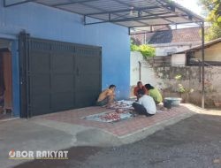 Peringati Idul Adha 1446 H, Koperasi Karya Utama Situbondo Bagikan Daging Kurban ke Warga Sekitar