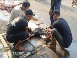 Masjid Cut Nyak Dien Jakarta Salurkan 1.056 Paket Daging Kurban kepada Mustahik