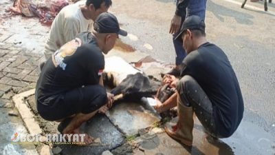 Masjid Cut Nyak Dien Jakarta Salurkan 1.056 Paket Daging Kurban, pada Idul Adha 2025