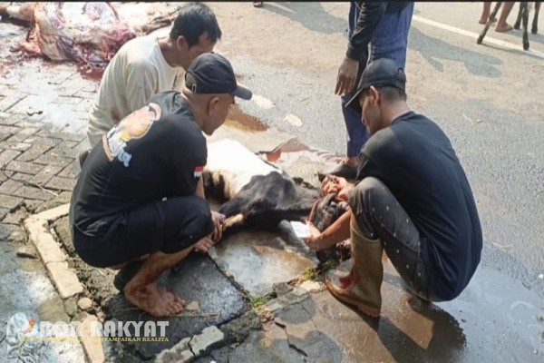 Jakarta, Obor Rakyat – Hari Raya Idul Adha 1446 Hijriah yang jatuh pada Jumat, 6 Juni 2025, disambut dengan penuh suka cita dan semangat berbagi oleh umat Muslim di seluruh Indonesia. Tidak terkecuali di Masjid Cut Nyak Dien, Jakarta, yang menjadi pusat kegiatan kurban dan solidaritas sosial di tengah masyarakat.