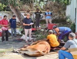 Perhutani Bondowoso Salurkan Daging Qurban, Wujud Nyata Tanggung Jawab Sosial dan Lingkungan