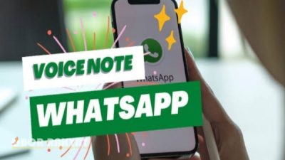 Voice Note Viral Bahas Tanah Kas Desa di Bondowoso, Kades LL Santai Saat Dikonfirmasi