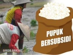 Era Baru Tata Kelola Pupuk Bersubsidi, Pemerintah Pastikan Distribusi Tepat Sasaran dan Tepat Waktu